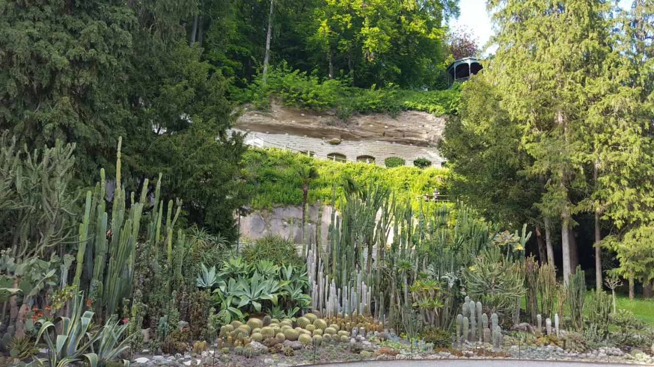 Ferienwohnung Am Waldrand Herdwangen-Schönach Εξωτερικό φωτογραφία